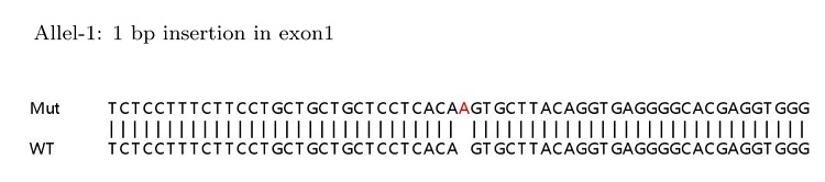 Human MUC1 knockout HeLa cell lysate