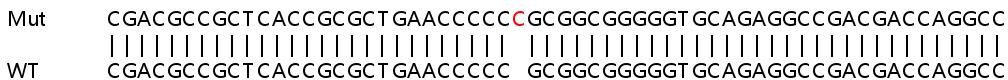 Sanger Sequencing - Human MVB12A (FAM125A) knockout HeLa cell line (AB265886)