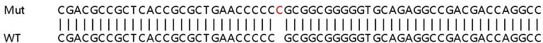 Sanger Sequencing - Human MVB12A (FAM125A) knockout HeLa cell line (AB265886)
