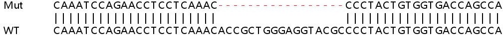Sanger Sequencing - Human MVP knockout HeLa cell line (AB264817), expandable thumbnail