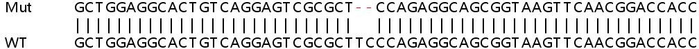 Sanger Sequencing - Human MX2 knockout A549 cell lysate (AB258979), expandable thumbnail