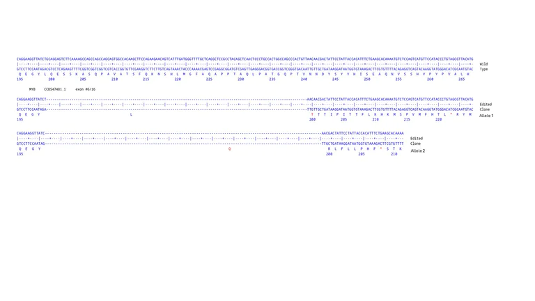 Next Generation Sequencing - Human MYB knockout MCF7 cell line (AB287633)