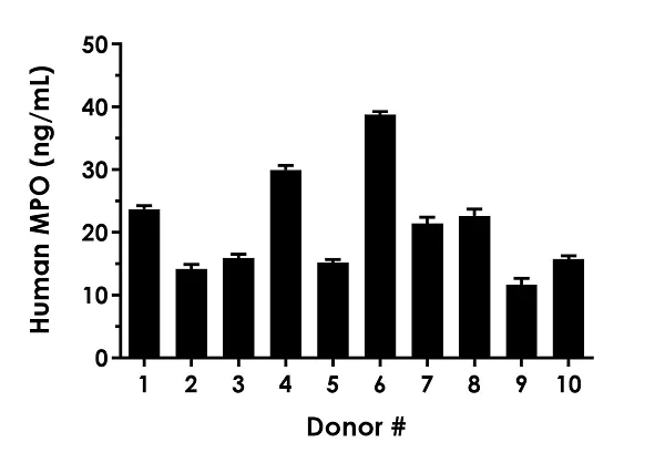 Sandwich ELISA - Human Myeloperoxidase ELISA Kit (AB272101)