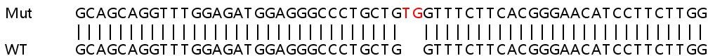 Sanger Sequencing - Human MYL6B (MLC1SA) knockout HEK-293T cell lysate (AB263269)