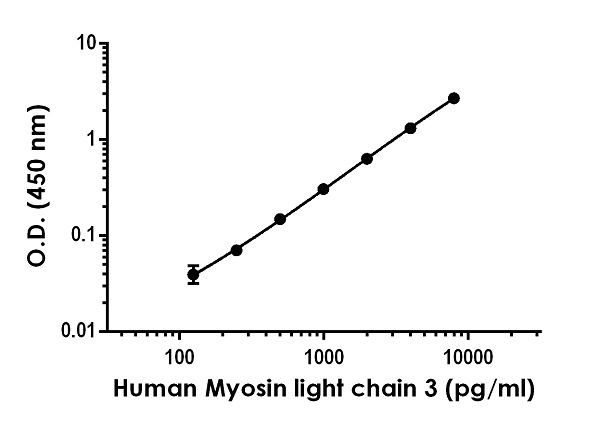 Sandwich ELISA - Human Myosin light chain 3 ELISA Kit (AB246538), expandable thumbnail