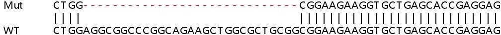Sanger Sequencing - Human MZT2B knockout HEK-293T cell line (AB266243)