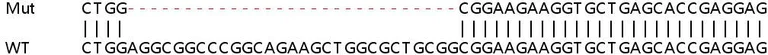 Sanger Sequencing - Human MZT2B knockout HEK-293T cell lysate (AB263271)