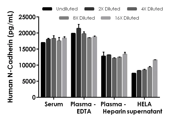 Sandwich ELISA - Human N-Cadherin ELISA Kit (AB254512)