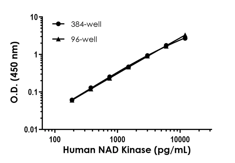 Sandwich ELISA - Human NAD Kinase (NADK) ELISA Kit (AB323605)