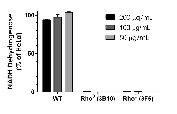 Sandwich ELISA - Human NADH dehydrogenase ELISA Kit (Complex I) (AB178011)