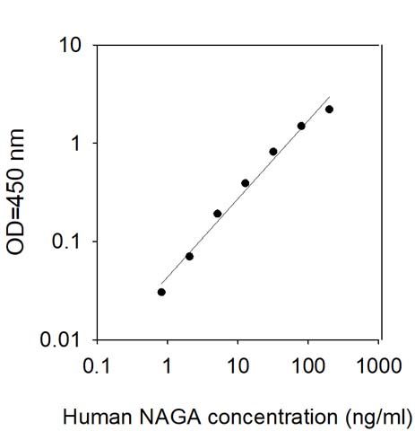 Sandwich ELISA - Human NAGA ELISA Kit (AB313903)