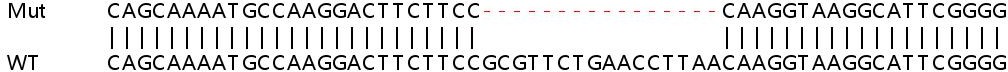 Sanger Sequencing - Human NARF (IOP2) knockout HeLa cell line (AB265489)