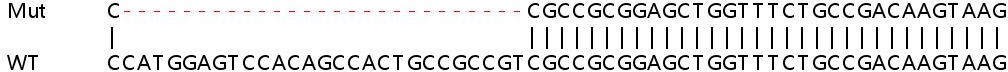 Sanger Sequencing - Human NASP knockout HEK-293T cell lysate (AB258058), expandable thumbnail