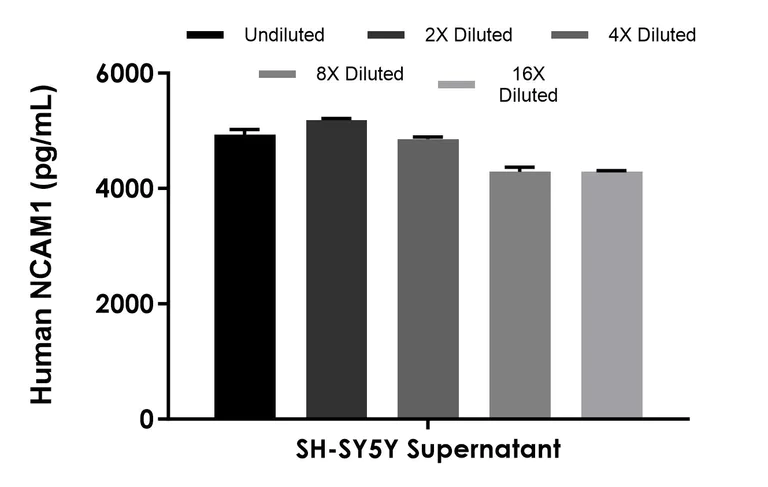 Sandwich ELISA - Human NCAM1 ELISA Kit (AB315307)