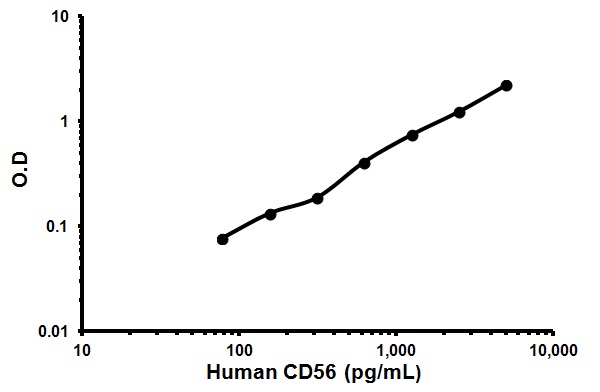 Sandwich ELISA - Human NCAM1 ELISA Kit (CD56) (AB119587)