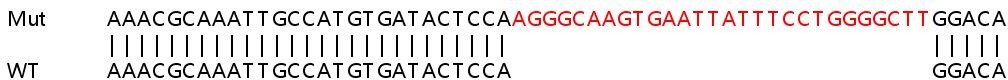 Sanger Sequencing - Human NCOA3 (SRC3) knockout HeLa cell line (AB265935), expandable thumbnail
