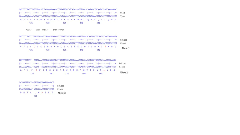 Next Generation Sequencing - Human NCOA3 (SRC3) knockout MCF7 cell line (AB275827)