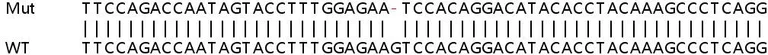 Sanger Sequencing - Human NCOA7 knockout A549 cell line (AB267145)