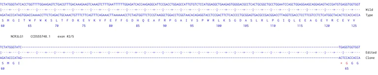 Next Generation Sequencing - Human NCR3LG1 knockout Raji cell line (AB290414)