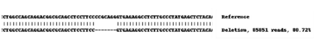 Next Generation Sequencing - Human NDRG1 knockout HEK-293 cell line (AB261856), expandable thumbnail
