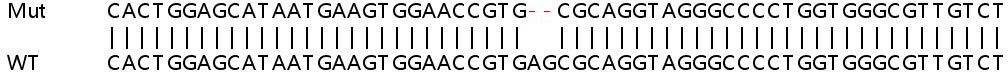 Sanger Sequencing - Human NDUFA13 (GRIM19) knockout HeLa cell line (AB265863), expandable thumbnail