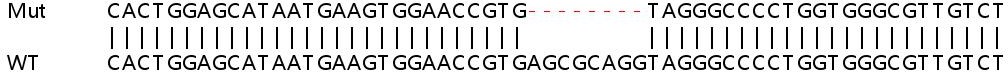 Sanger Sequencing - Human NDUFA13 (GRIM19) knockout HeLa cell line (AB265863), expandable thumbnail