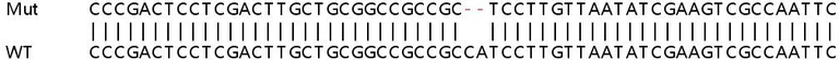 Sanger Sequencing - Human NDUFA2 knockout HeLa cell lysate (AB258989)
