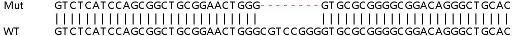Sanger Sequencing - Human NDUFA7 knockout HEK-293T cell line (AB266597), expandable thumbnail