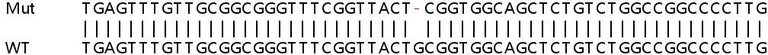 Sanger Sequencing - Human NDUFB5 knockout HeLa cell lysate (AB263277)