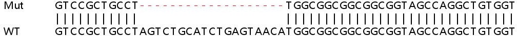 Sanger Sequencing - Human NDUFS3 knockout HEK-293T cell line (AB266419), expandable thumbnail