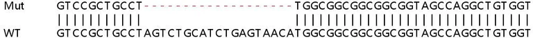 Sanger Sequencing - Human NDUFS3 knockout HEK-293T cell lysate (AB257556)