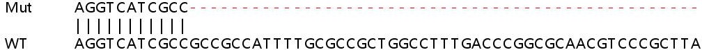 Sanger Sequencing - Human NDUFS6 knockout HEK-293T cell line (AB266824), expandable thumbnail