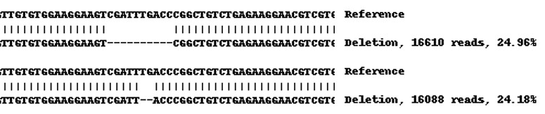 Next Generation Sequencing - Human NEK9 knockout A-431 cell line (AB270474), expandable thumbnail