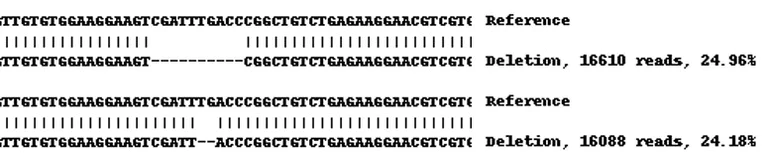 Next Generation Sequencing - Human NEK9 knockout A-431 cell lysate (AB270497)
