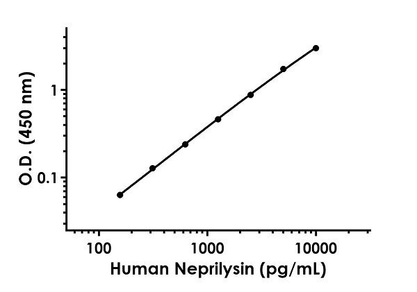 Sandwich ELISA - Human Neprilysin ELISA Kit (AB234563)