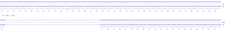 Next Generation Sequencing - Human NEU1 knockout A549 cell line (AB301095)
