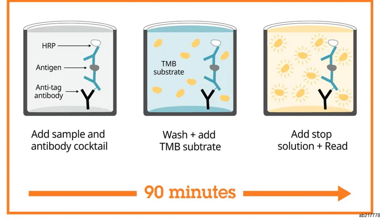 ELISA - Human Neuron specific Enolase ELISA Kit (AB217778)