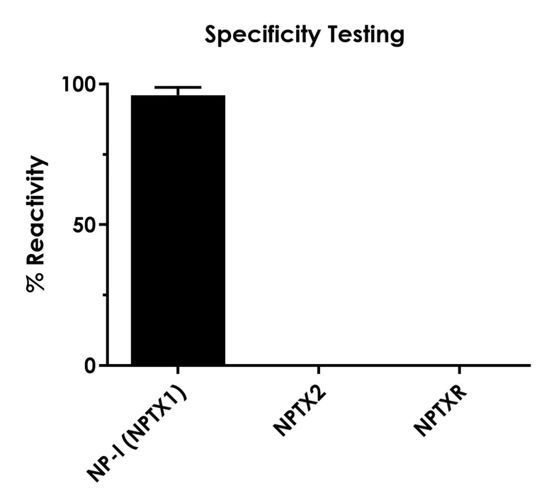 Sandwich ELISA - Human Neuronal Pentraxin-1 (NP-I) ELISA Kit- Intracellular (AB323497)