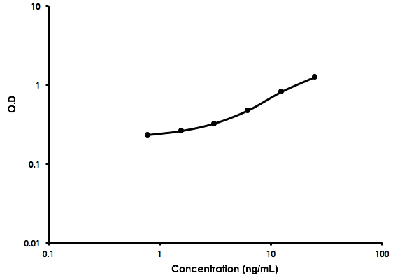 Sandwich ELISA - Human Neuropilin-1 ELISA Kit (AB213813)