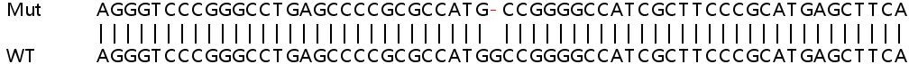 Sanger Sequencing - Human NF2 (Merlin) knockout HeLa cell line (AB261796), expandable thumbnail