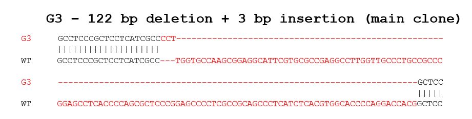 Sanger Sequencing - Human NFATC2 knockout Raji cell line (AB280906), expandable thumbnail