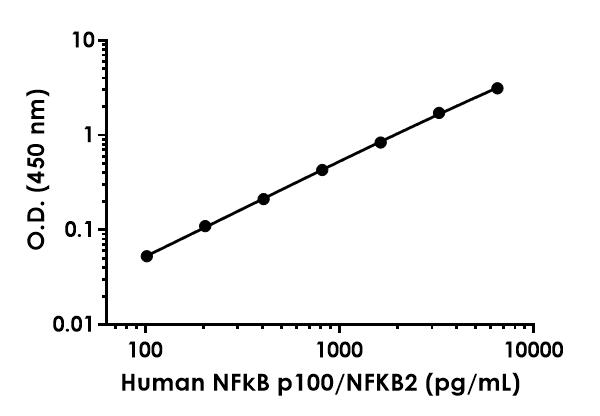 Sandwich ELISA - Human NFkB p100/NFKB2 ELISA Kit (AB288581), expandable thumbnail