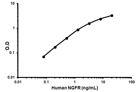 Sandwich ELISA - Human NGF R ELISA Kit (CD271) (AB155436)