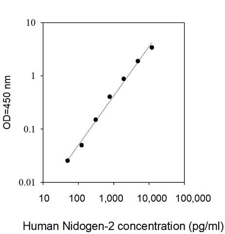 Sandwich ELISA - Human Nidogen 2/NID-2 ELISA Kit (AB313906), expandable thumbnail