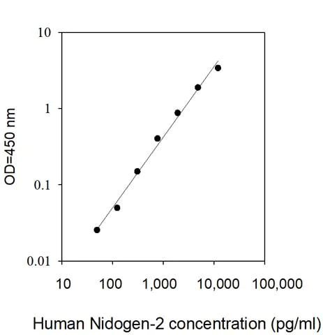 Sandwich ELISA - Human Nidogen 2/NID-2 ELISA Kit (AB313906)