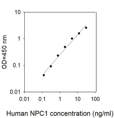 Sandwich ELISA - Human Niemann Pick C1 ELISA Kit (AB313912)