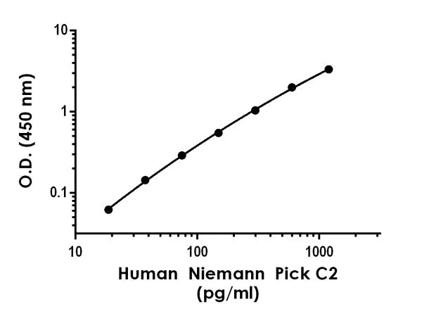 Sandwich ELISA - Human Niemann Pick C2 ELISA Kit (AB227894)