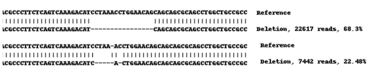 Next Generation Sequencing - Human NKX2-5 knockout HEK-293 cell line (AB261899)