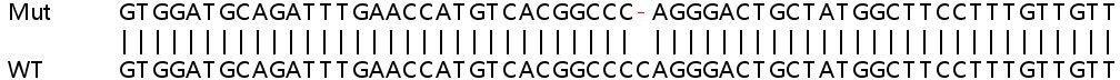 Sanger Sequencing - Human NLGN4X knockout HeLa cell line (AB264783), expandable thumbnail