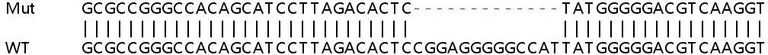 Sanger Sequencing - Human NLRC5 knockout A549 cell line (AB266987)